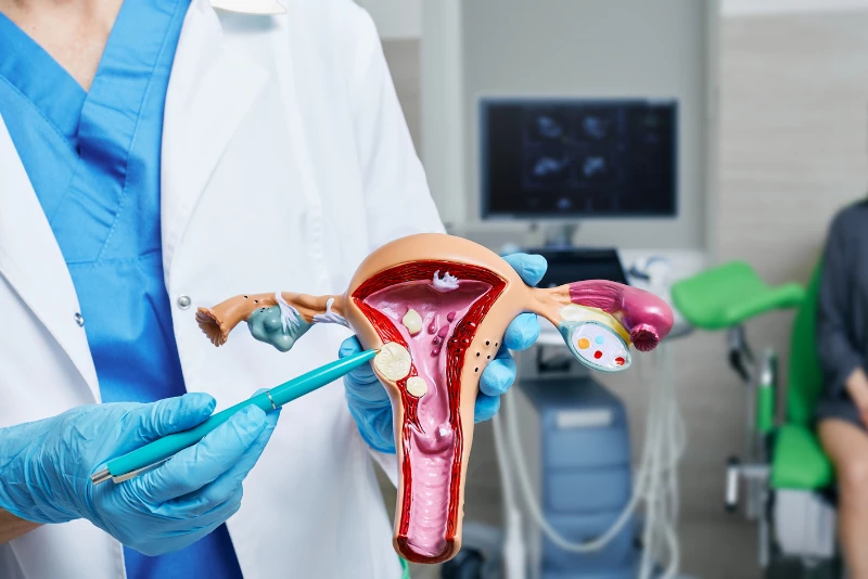 Uterine Fibroids: Symptoms, Treatment, and Can They Affect Pregnancy?